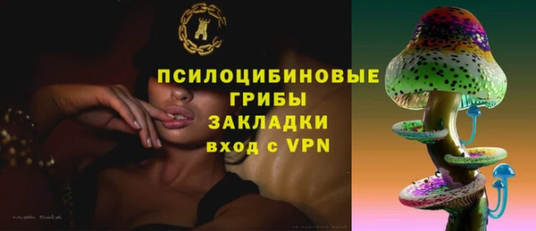 прущие грибы Алексин