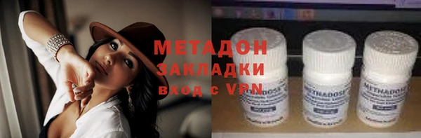прущие грибы Алексин