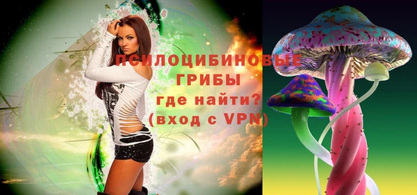 хмурый Алексеевка