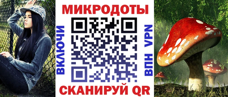 blacksprut   Новая Ладога  дарк нет как зайти  Галлюциногенные грибы Cubensis 